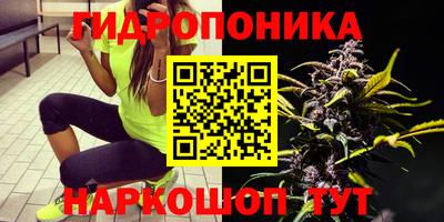 прущие грибы Заводоуковск