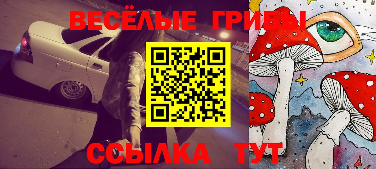 Нижний Тагил  Псилоцибиновые грибы ЛСД  Вход с VPN 